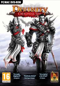 Divinity Original Sin voor de PC Gaming kopen op nedgame.nl