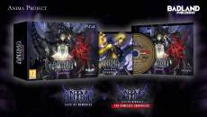 Anima Gate of Memories Arcane Edition voor de PlayStation 4 kopen op nedgame.nl