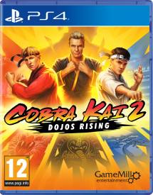 Cobra Kai 2 Dojos Rising voor de PlayStation 4 kopen op nedgame.nl