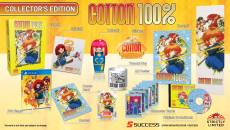 Cotton 100% Collector's Edition voor de PlayStation 4 kopen op nedgame.nl