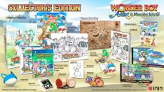 Wonder Boy Asha in Monster World Collector's Edition voor de PlayStation 4 kopen op nedgame.nl