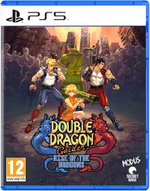 Double Dragon Gaiden: Rise of the Dragons voor de PlayStation 5 kopen op nedgame.nl