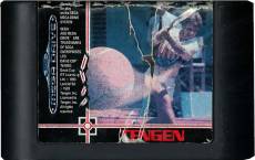 Davis Cup World Tour (losse cassette)(schade aan label) voor de Sega MegaDrive kopen op nedgame.nl