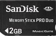 Sandisk 2 GB Pro Duo Memory Stick voor de Sony PSP kopen op nedgame.nl