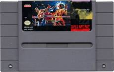 Best Of The Best Championship Karate (losse cassette) voor de Super Nintendo kopen op nedgame.nl