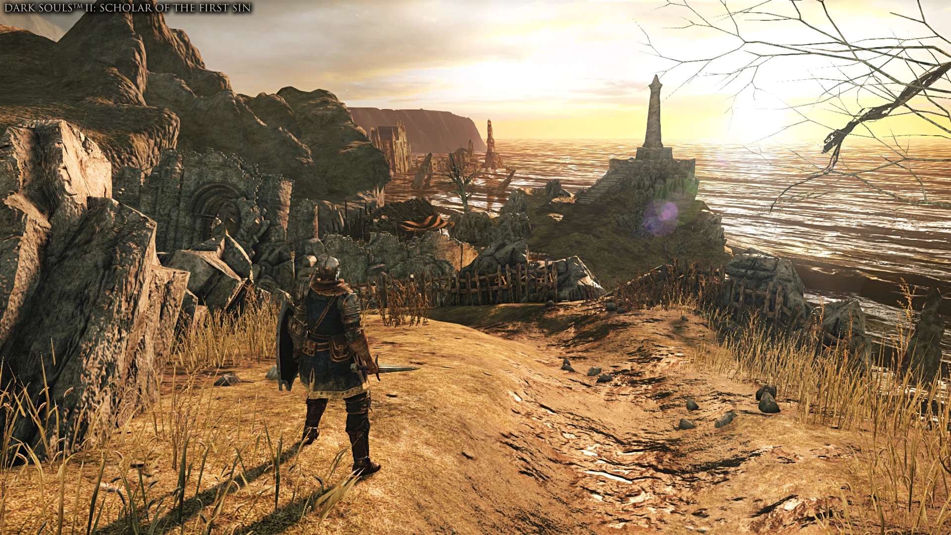 Dark Souls Trilogy voor de PlayStation 4 kopen op nedgame.nl