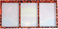 Pokemon TCG - Paldean Fates Magnetic Three Card Protector Display - Fire voor de Trading Card Games kopen op nedgame.nl