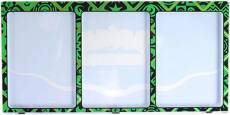 Pokemon TCG - Paldean Fates Magnetic Three Card Protector Display - Grass voor de Trading Card Games kopen op nedgame.nl