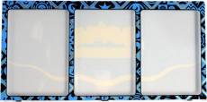Pokemon TCG - Paldean Fates Magnetic Three Card Protector Display - Water voor de Trading Card Games kopen op nedgame.nl